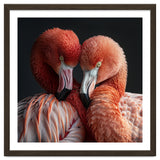 Close Up Of Two Flamingos Nuzzling Together thumbnail