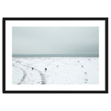 Seagulls in the winter snow beach thumbnail