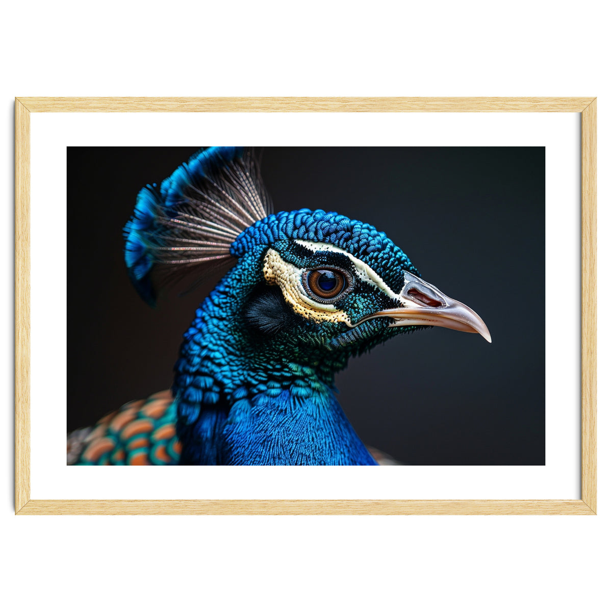 Close Up Peacock Head Blue Green Feather
