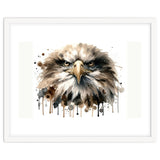 Fierce Bald Eagle Portrait thumbnail