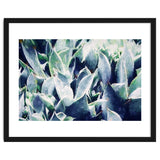 Cactus Garden thumbnail