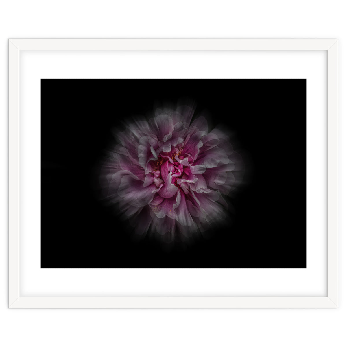 Backyard Flowers No 116 Color Flow Version