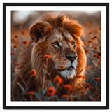 Majestic Lion Resting Among Orange Flowers thumbnail
