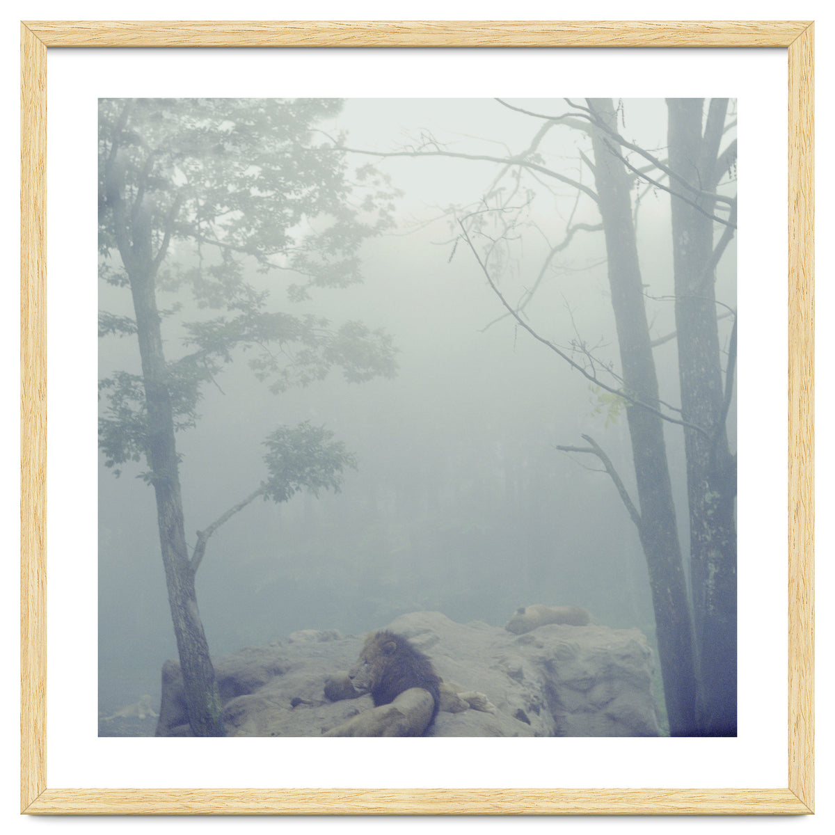 Silence of breath - 02