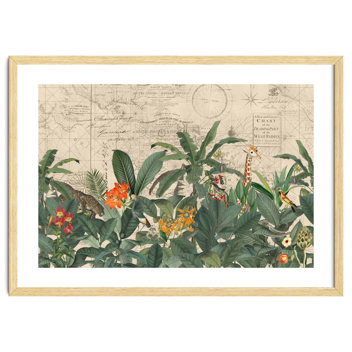 Explore The New World Wild Animals