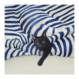 Out Of Line (Print Only) thumbnail