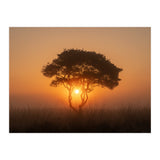 Tree at sunrise (Print Only) thumbnail