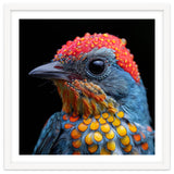 Close Up Of Colorful Bird With Water Droplets thumbnail