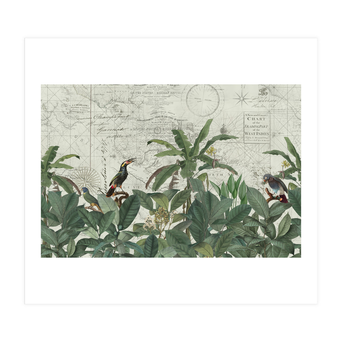 Explore The New World (Print Only)