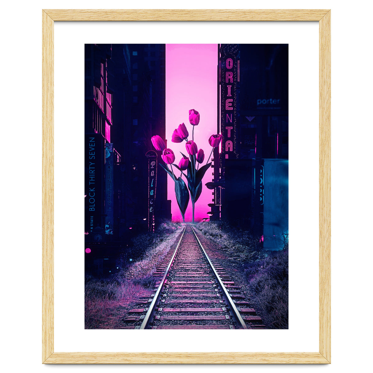 red tulips in the middle of the city