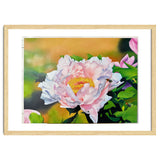 peony thumbnail
