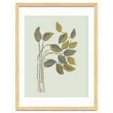 Olivia muted botanical oils thumbnail