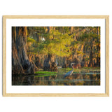 Heron in the swamps thumbnail