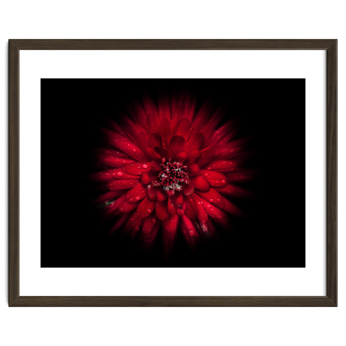 Backyard Flowers No 45 Color Flow Version