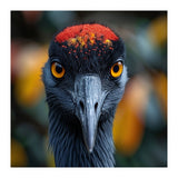 Close Up Of A Strikingly Beautiful Bird Face (Print Only) thumbnail