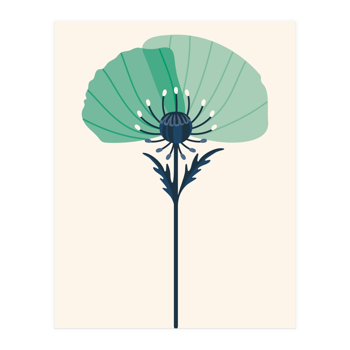 Teal Half Poppy (Print Only)
