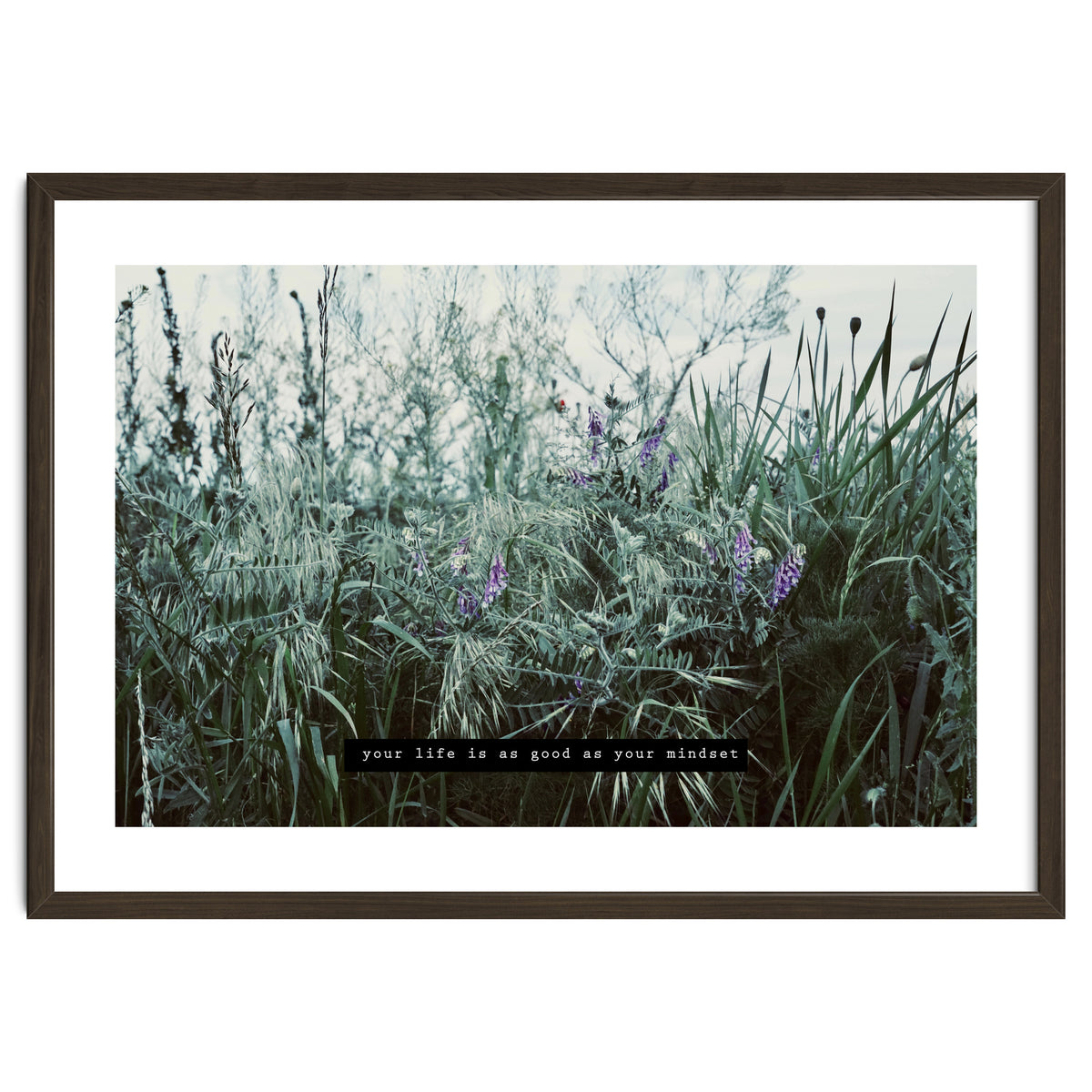 Photography - Summer Garden