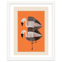 Tangerine Flamingos