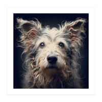 Old Dog 07 (Print Only)