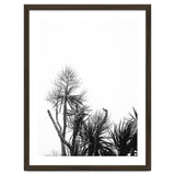 Miminalist Palm thumbnail