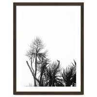 Miminalist Palm