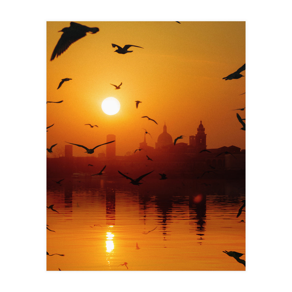 Charming Birds (Print Only)