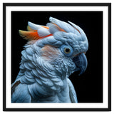 Close Up Of A Cockatoo Parrot Head thumbnail