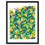 Summer Strelitzia thumbnail