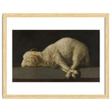 Francisco de Zurbarán / 'Agnus Dei (The Lamb of God)', 1635-1640, Spanish School. thumbnail