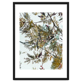 Patterns In Nature thumbnail