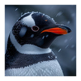 Close Up Penguin Portrait In Snowy Weather (Print Only) thumbnail