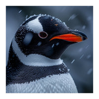 Close Up Penguin Portrait In Snowy Weather (Print Only)