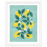 Lemon Blossom thumbnail