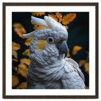 Yellow Crested Cockatoo Portrait Autumn Leaves Dark