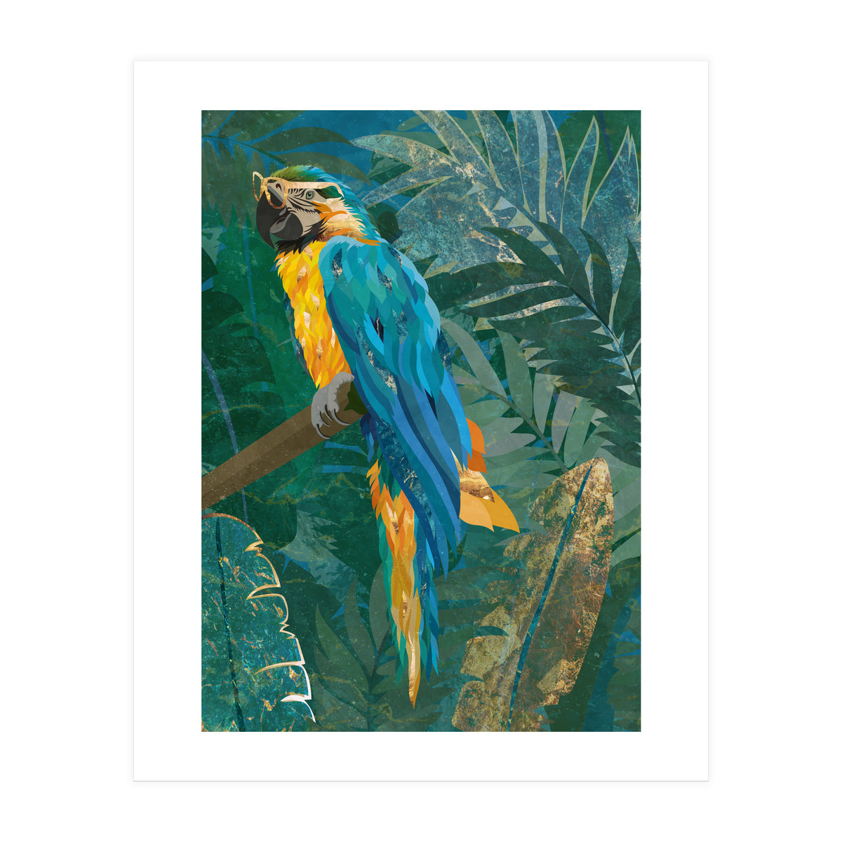 Macaw in the jungle (Print Only)