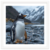 Gentoo Penguin Standing On A Rocky Shore thumbnail