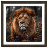 Majestic Lion Portrait In Orange Flowers thumbnail