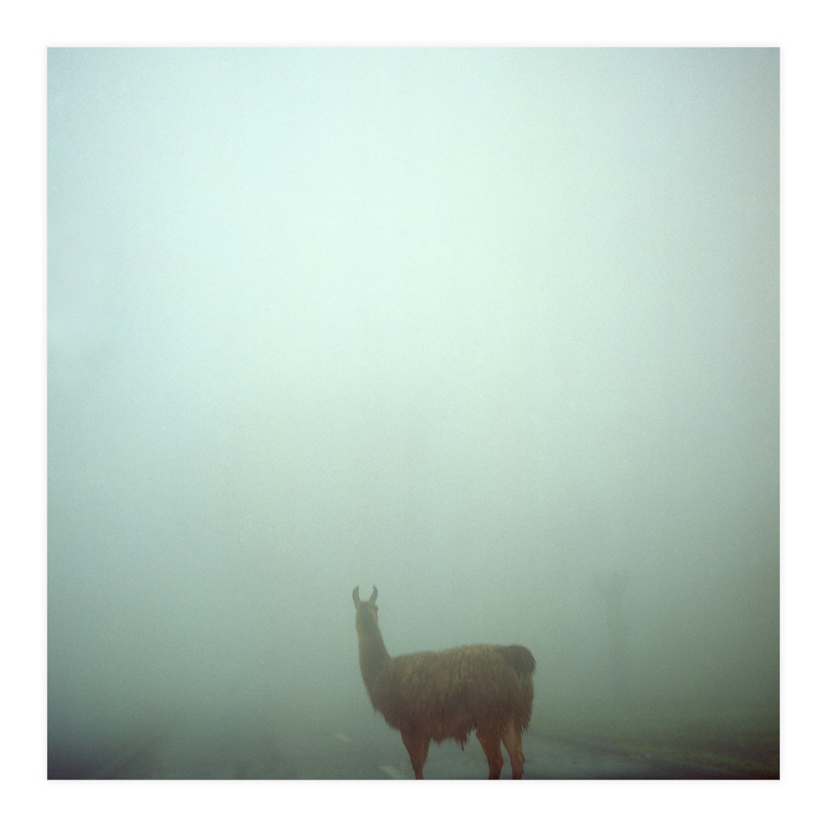 Silence of breath - 04 (Print Only)