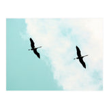 Crane(s) V (Print Only) thumbnail