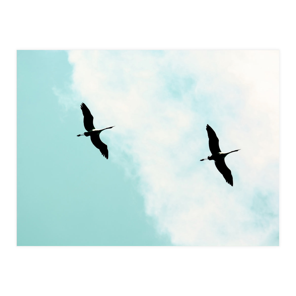 Crane(s) V (Print Only)