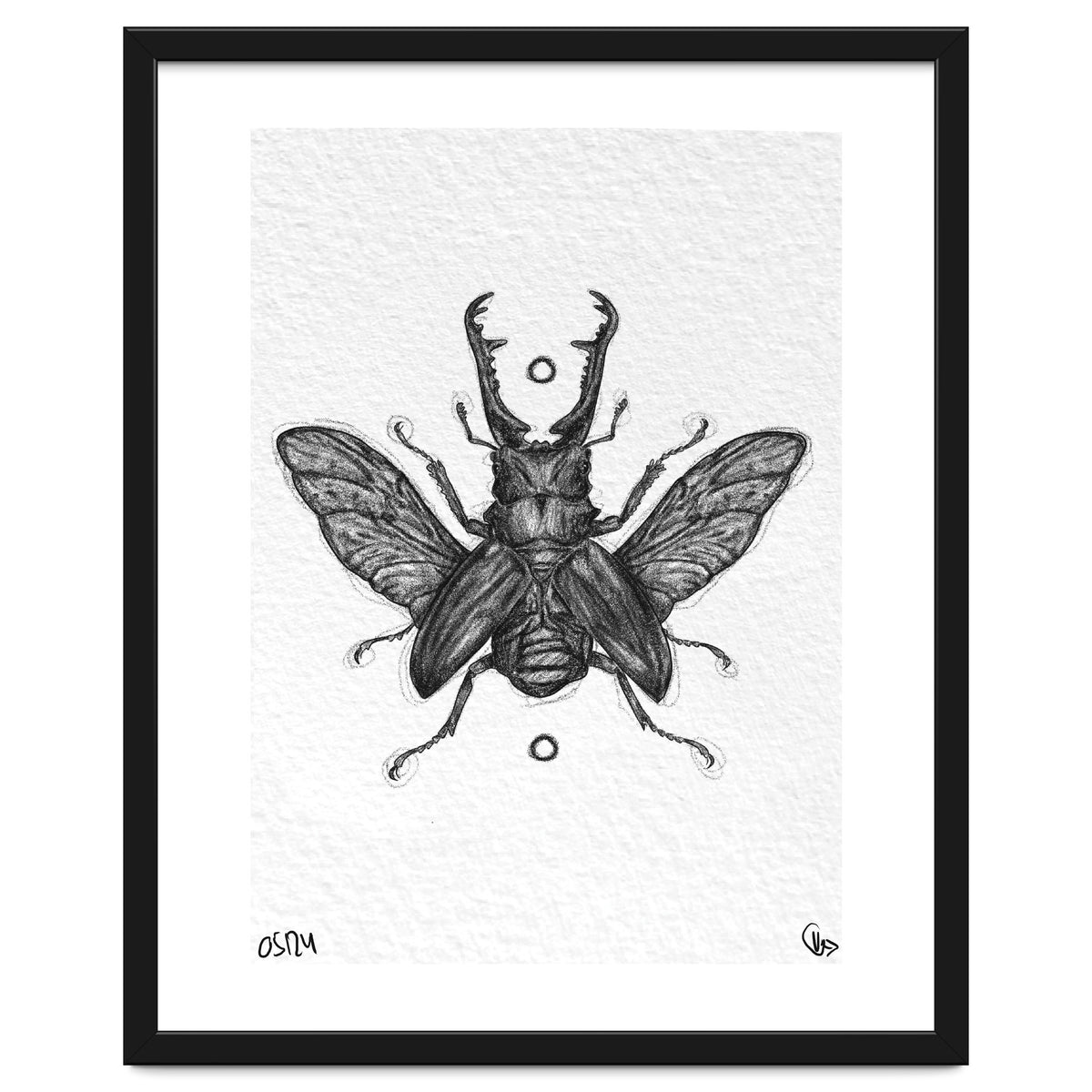 Giraffen Hirschkäfer