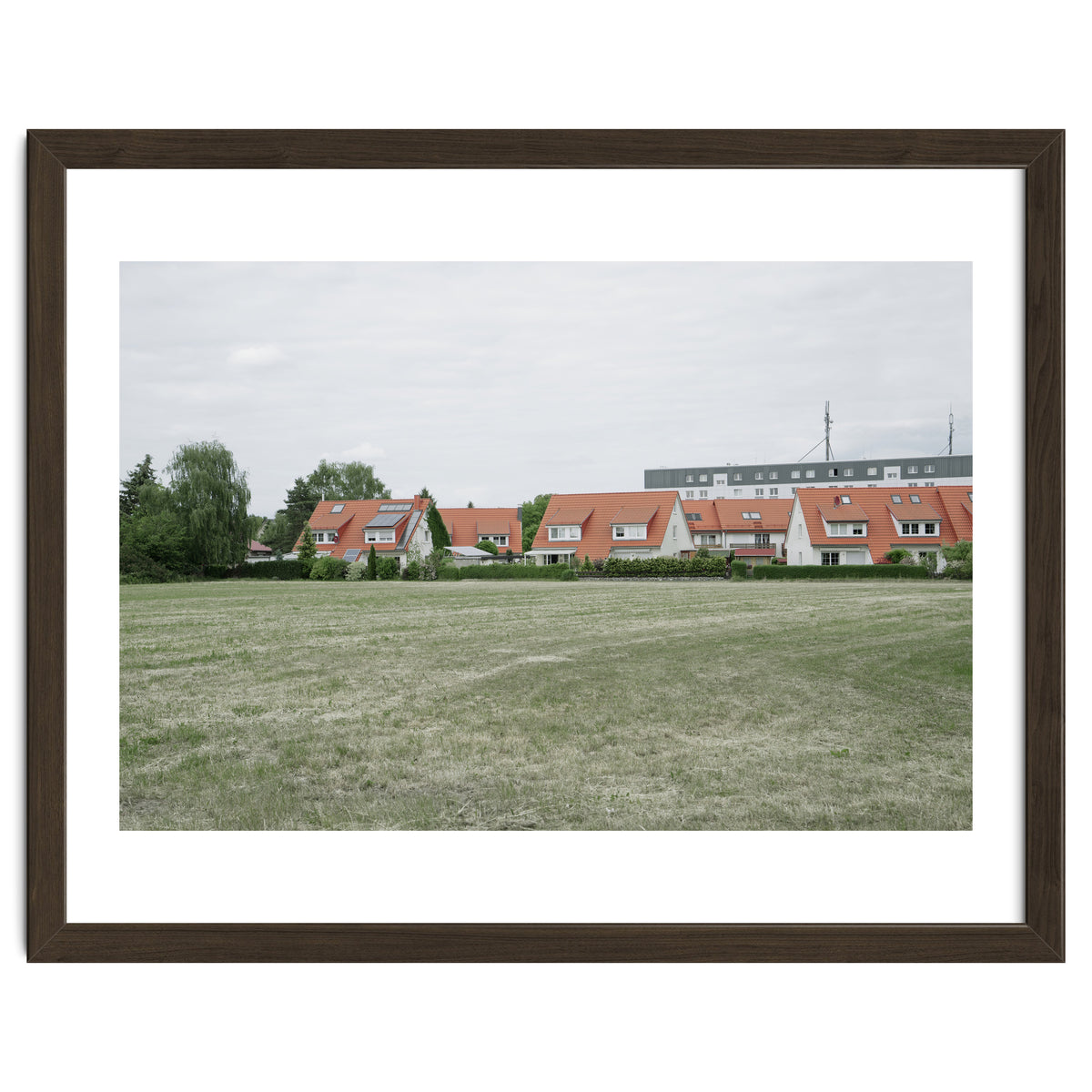 Red roof houses in the green field