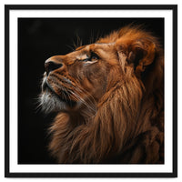 Majestic Lion Portrait Profile Majestic Beast