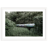 Graffiti pipe among the summer forest thumbnail