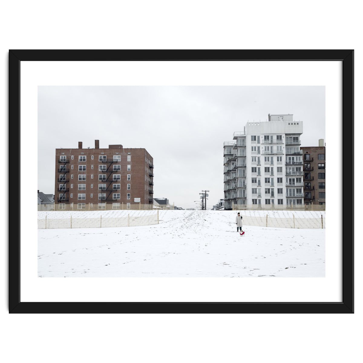 Walking with the dog on a snowy day