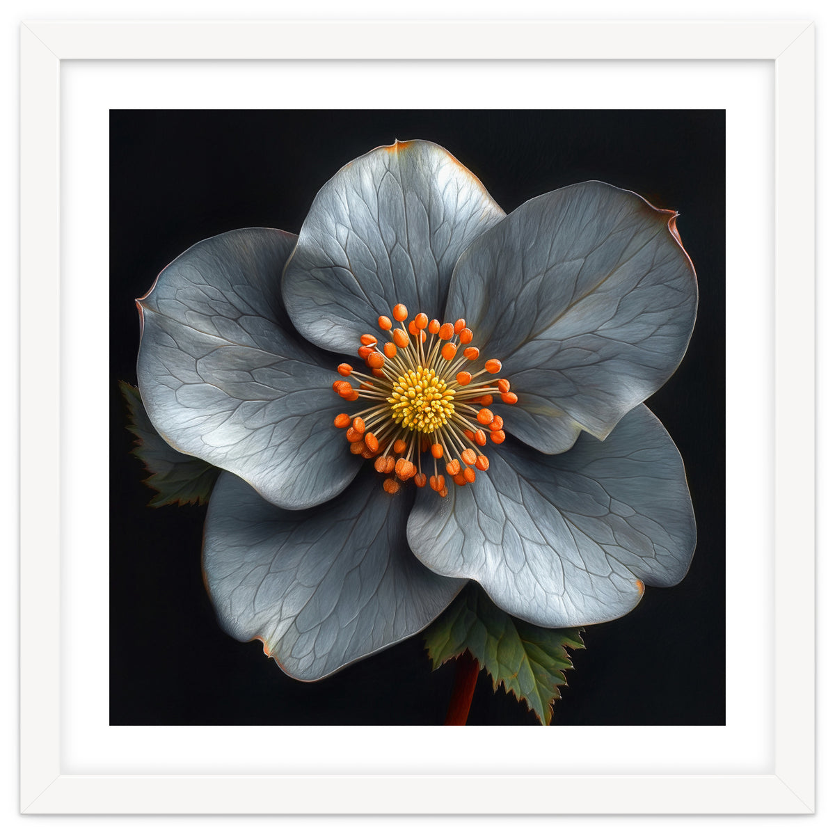 Hellebore | Silver Magic
