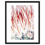 Delicate Florals thumbnail