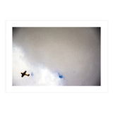 The Little Prince (Print Only) thumbnail