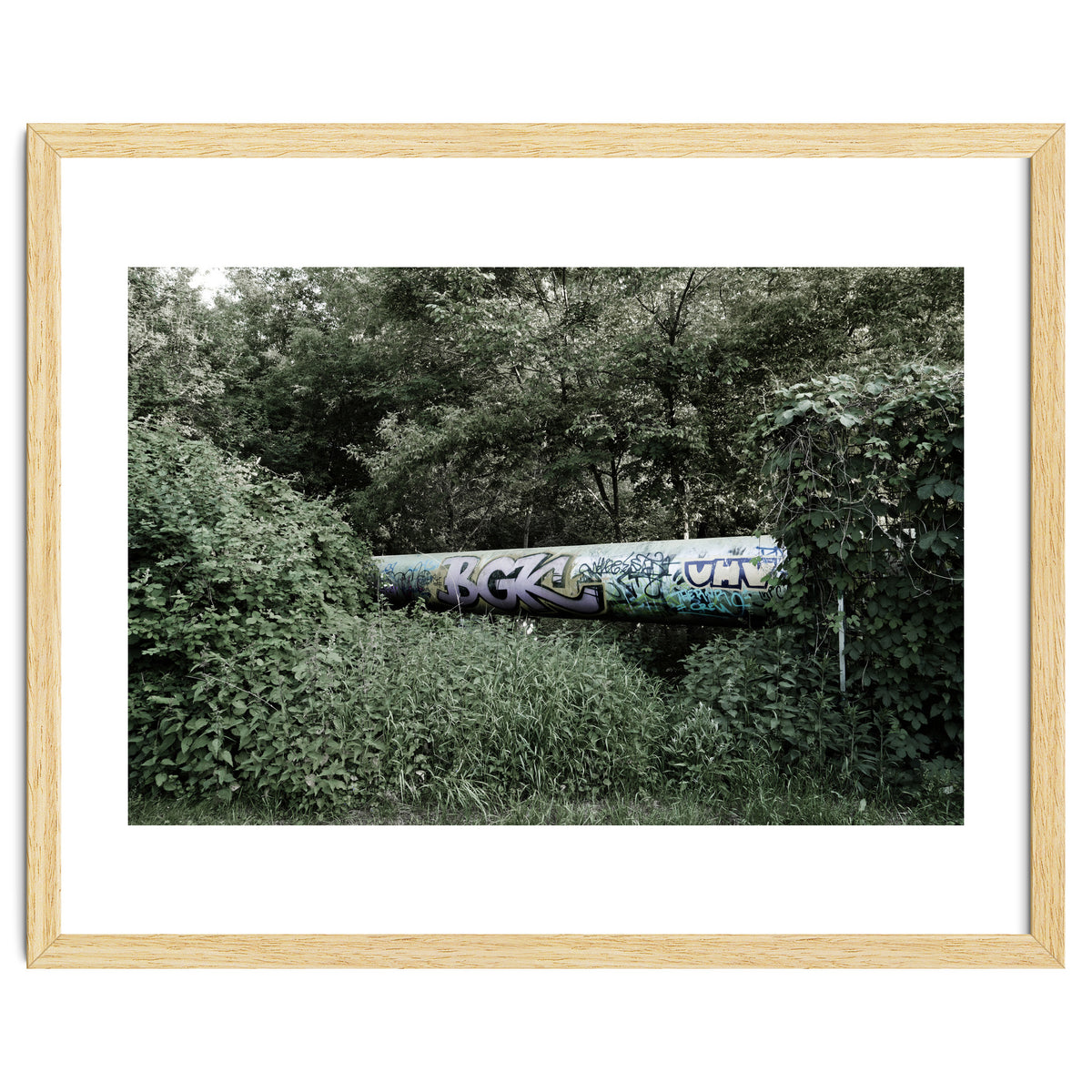 Graffiti pipe among the summer forest