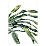 Green Palm Leaves (Print Only) thumbnail